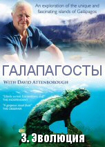 Galapagos with David Attenborough: Evolution