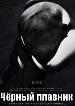 Blackfish