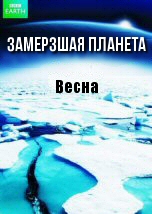 Замерзшая планета: Весна