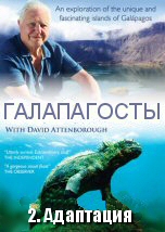 Galapagos with David Attenborough: Adaptation