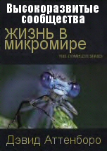 Жизнь в микромире: Высокоразвитые сообщества