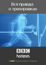 Вся правда о тренировках